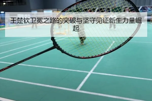 王楚钦卫冕之路的突破与坚守见证新生力量崛起