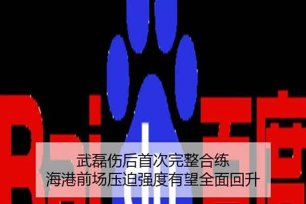 武磊伤后首次完整合练 海港前场压迫强度有望全面回升