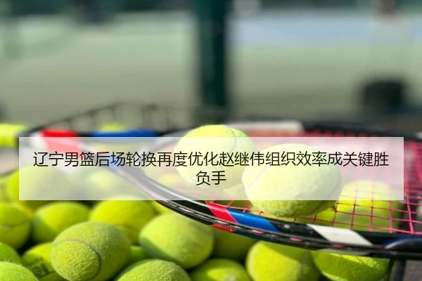 辽宁男篮后场轮换再度优化赵继伟组织效率成关键胜负手