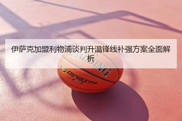 伊萨克加盟利物浦谈判升温锋线补强方案全面解析