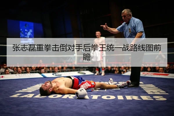 张志磊重拳击倒对手后拳王统一战路线图前瞻